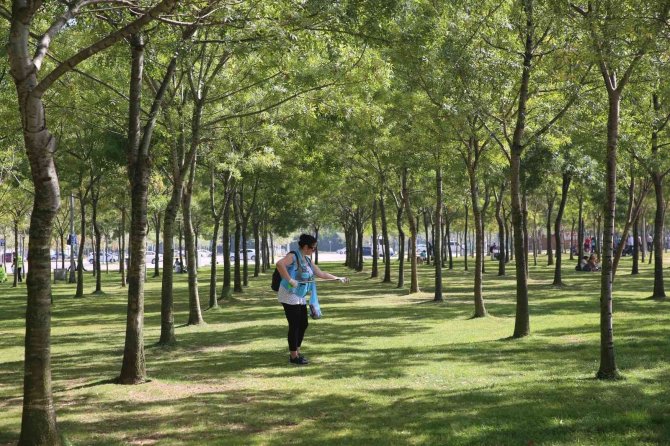 81 İlde Eş Zamanlı Temizlik