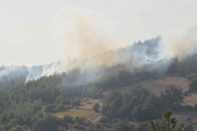 Balıkesir’de Yangına Havadan Ve Karadan Müdahale Sürüyor