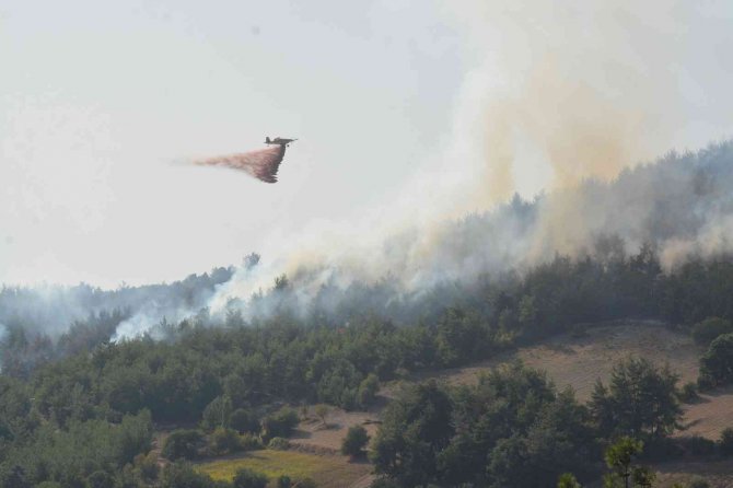 Balıkesir’de Yangına Havadan Ve Karadan Müdahale Sürüyor