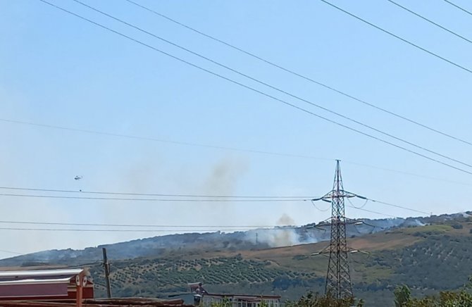 Bandırma’da Meralık Alandaki Yangın Korkuttu