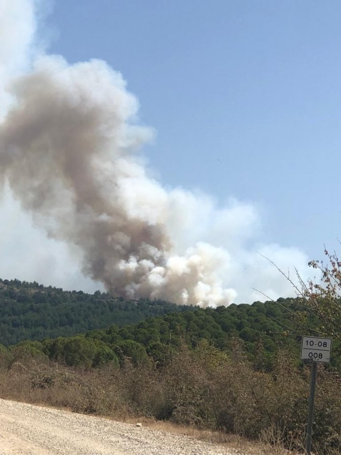 Kepsut’ta Orman Yangını