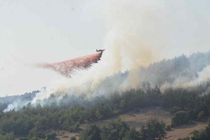 Balıkesir’de Yangına Havadan Ve Karadan Müdahale Sürüyor