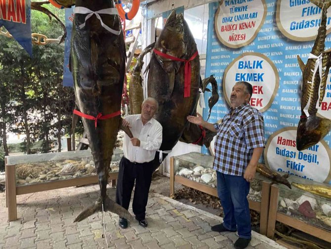 Türkiye Deniz Canlıları Müzesi’ne Duygusal Ziyaret