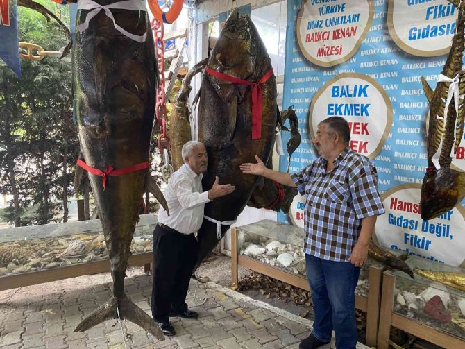 Türkiye Deniz Canlıları Müzesi’ne Duygusal Ziyaret