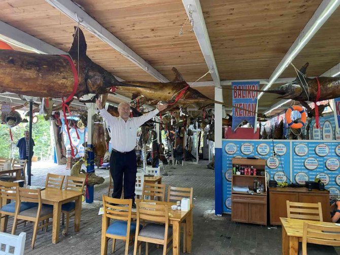 Türkiye Deniz Canlıları Müzesi’ne Duygusal Ziyaret