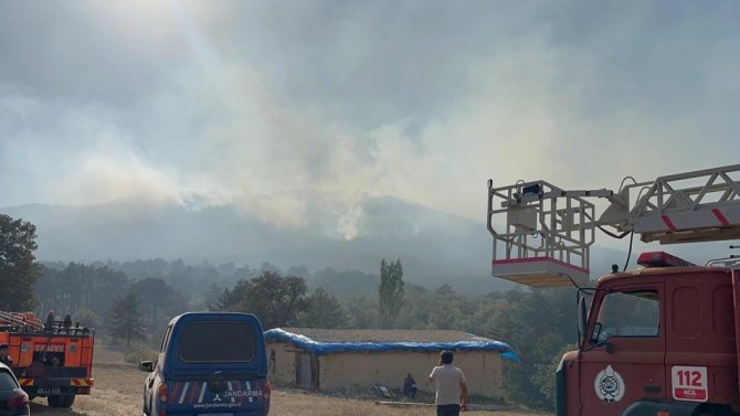 Eskişehir’de Orman Yangını Kontrol Altına Alındı