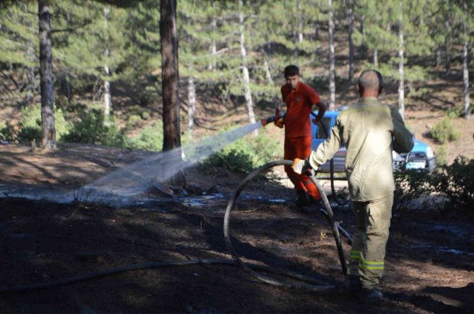 Tavşanlı’da Orman Yangını Söndürüldü