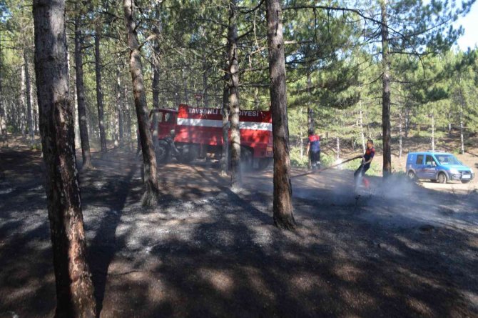 Tavşanlı’da Orman Yangını Söndürüldü