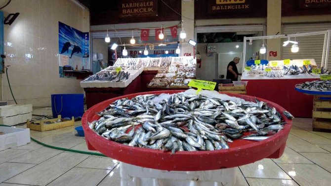 Ege’de Balık Tezgahları Doldu, Fiyatlar Düştü