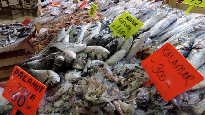 Ege’de Balık Tezgahları Doldu, Fiyatlar Düştü