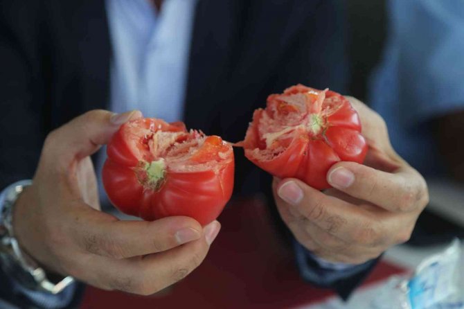 Agrotec Tarım Fuarı’nda En İyi Elma Ve Domates Yetiştiriciliği Yarışması