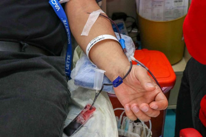 Türkök’ün Kuruluşuyla Kök Hücre Bağışları Hızlandı