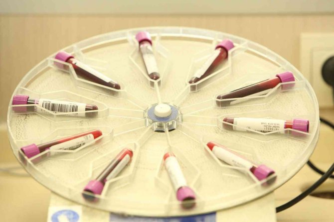 Türkök’ün Kuruluşuyla Kök Hücre Bağışları Hızlandı