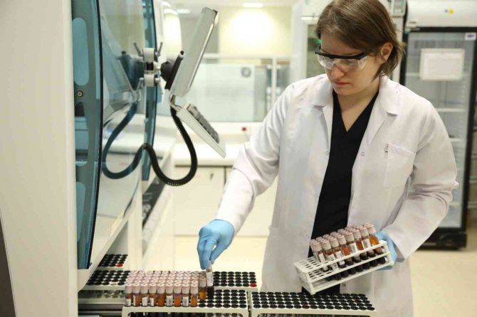 Türkök’ün Kuruluşuyla Kök Hücre Bağışları Hızlandı