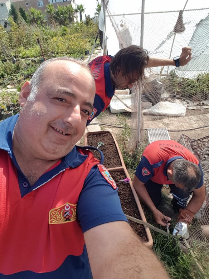 Sinop’ta Ağa Takılan Yılan Kurtarıldı