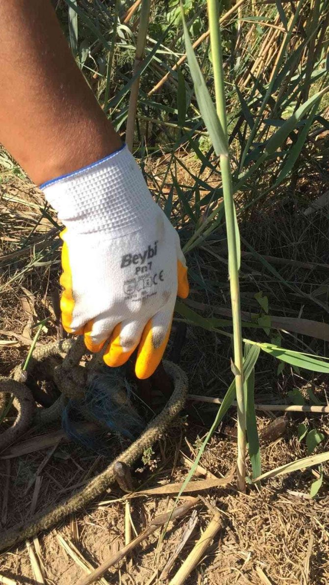 Menderes Nehri’nde Sahipsiz Ağlar İmha Edildi
