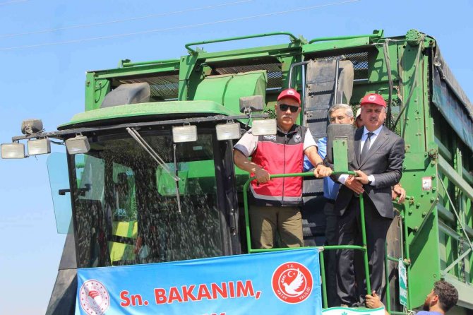Bakan Kirişci Amik Ovası’nda Pamuk Hasadına Katıldı