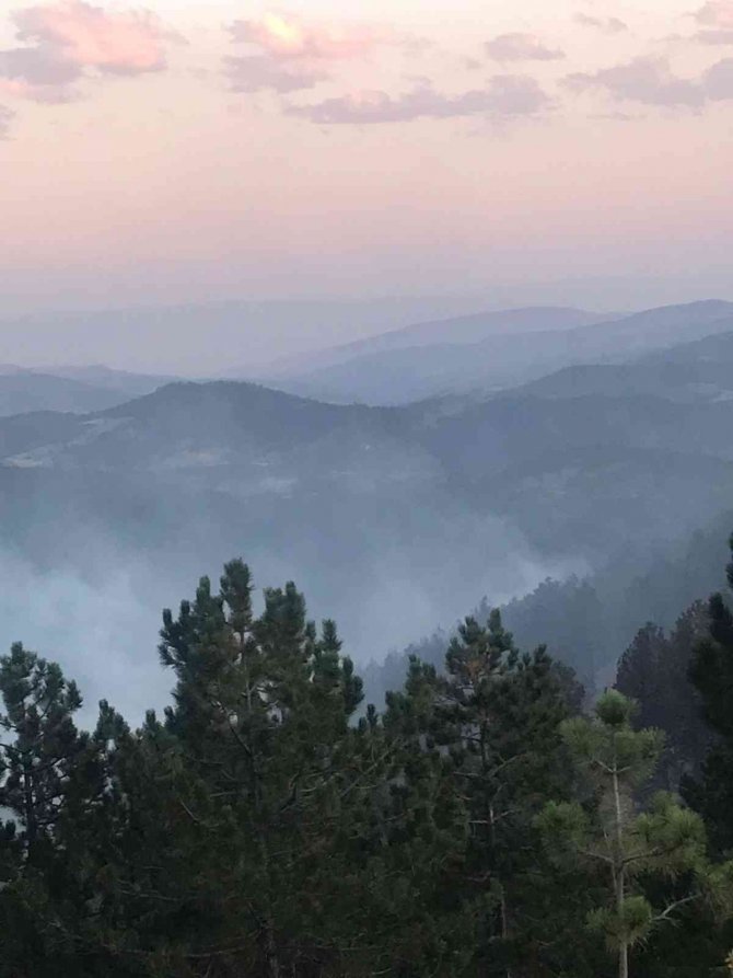 Çorum’daki Orman Yangını Kontrol Altına Alındı