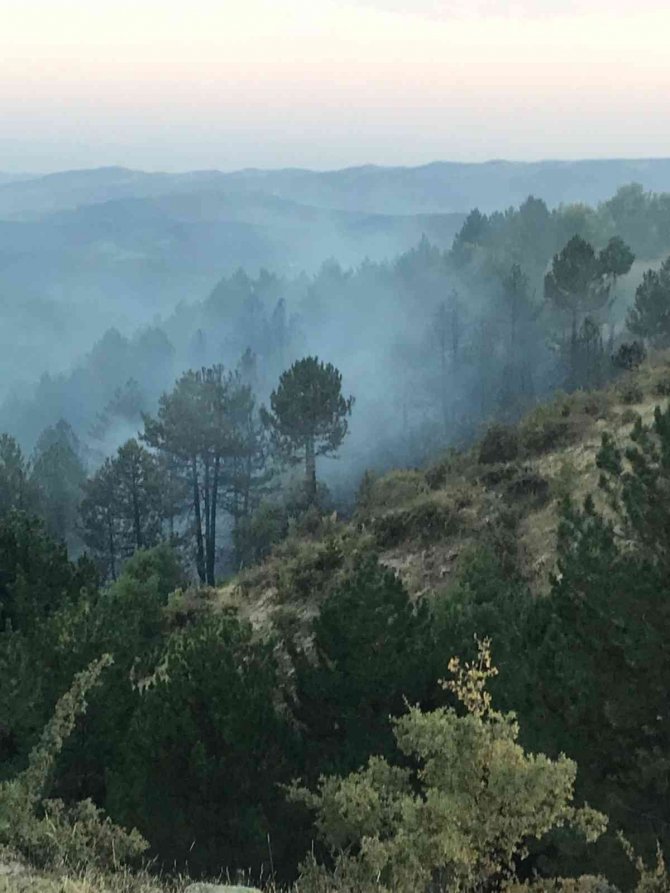 Çorum’daki Orman Yangını Kontrol Altına Alındı