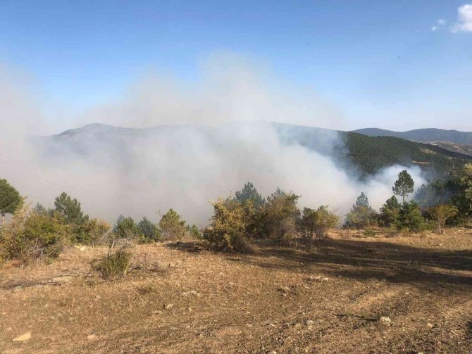 Çorum’daki Orman Yangını Kontrol Altına Alındı