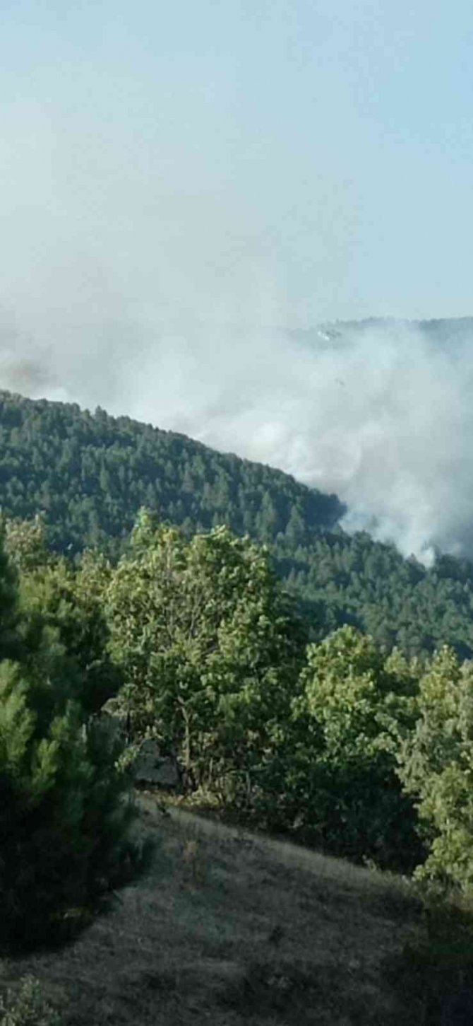 Çorum’da Orman Yangını