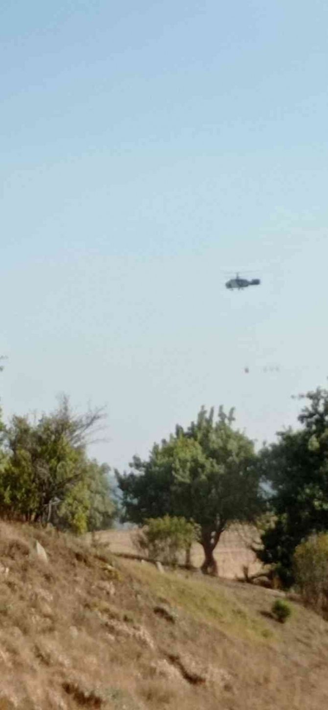 Çorum’da Orman Yangını