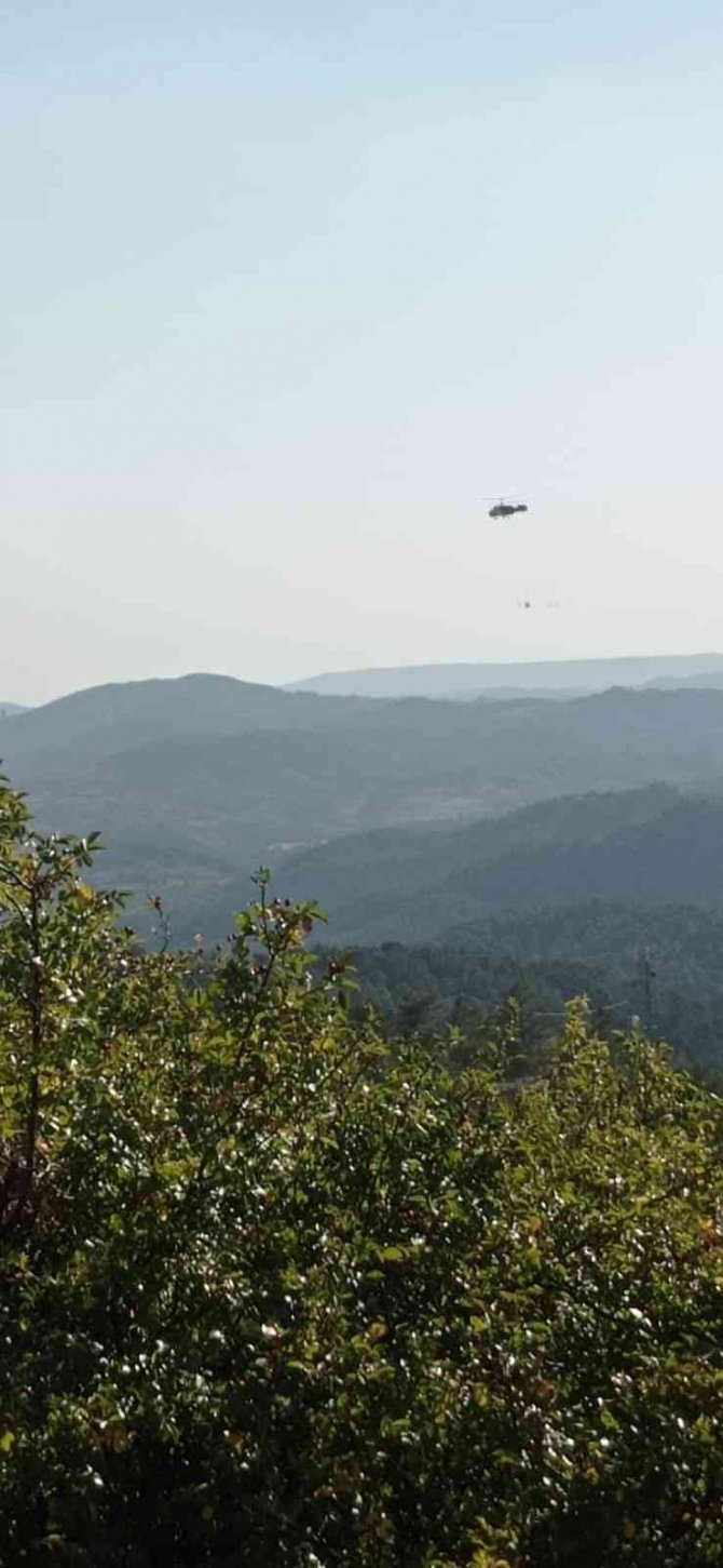 Çorum’da Orman Yangını