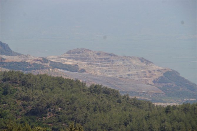 Dünyada Sadece 11 Adet Kaldı