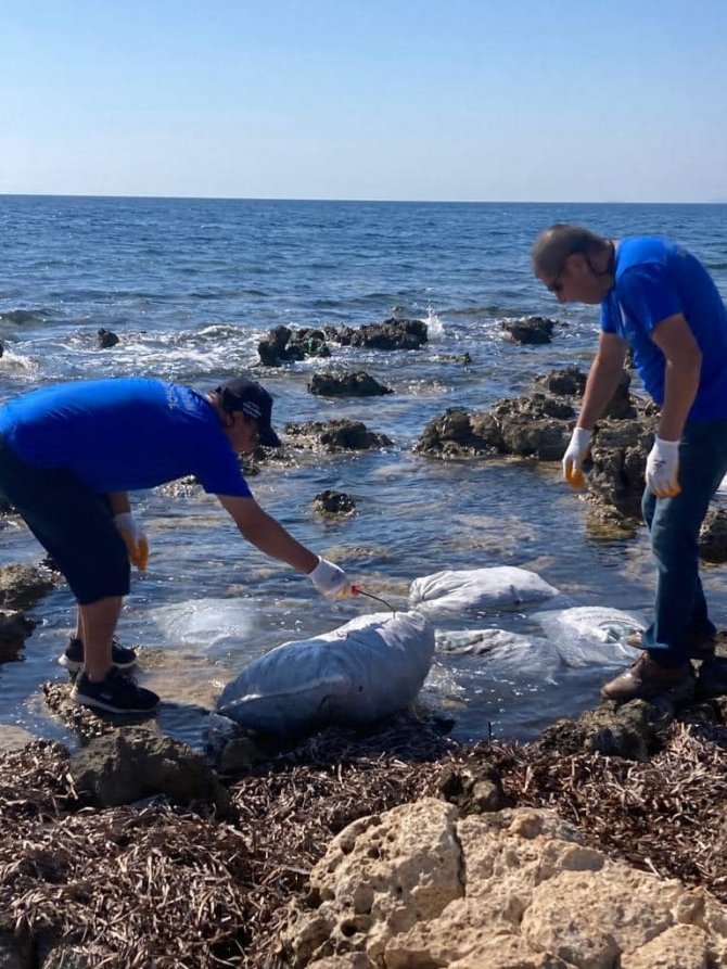 Kaçak Olarak Toplanan 600 Kilogram Deniz Kestanesi Ele Geçirildi