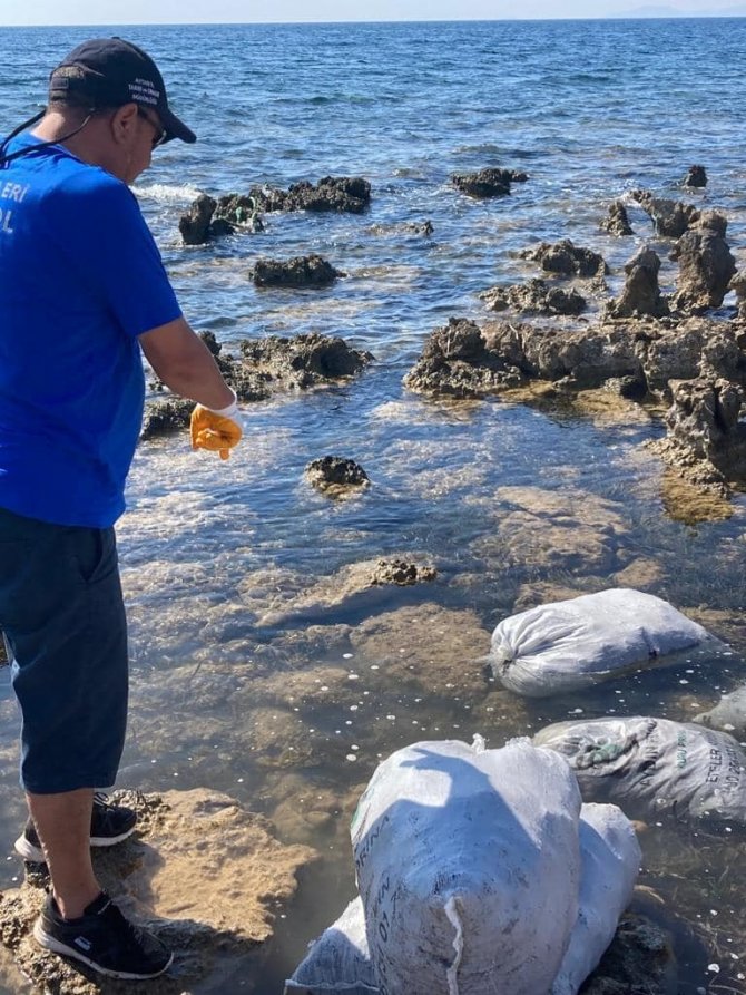 Kaçak Olarak Toplanan 600 Kilogram Deniz Kestanesi Ele Geçirildi