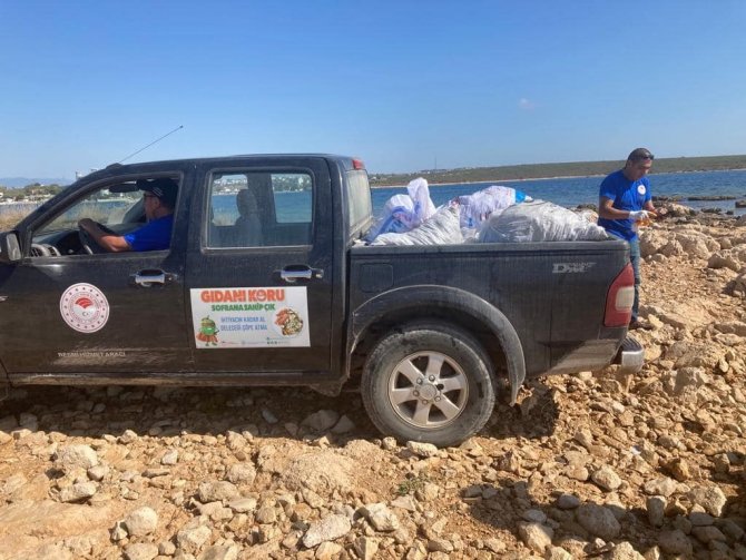 Kaçak Olarak Toplanan 600 Kilogram Deniz Kestanesi Ele Geçirildi