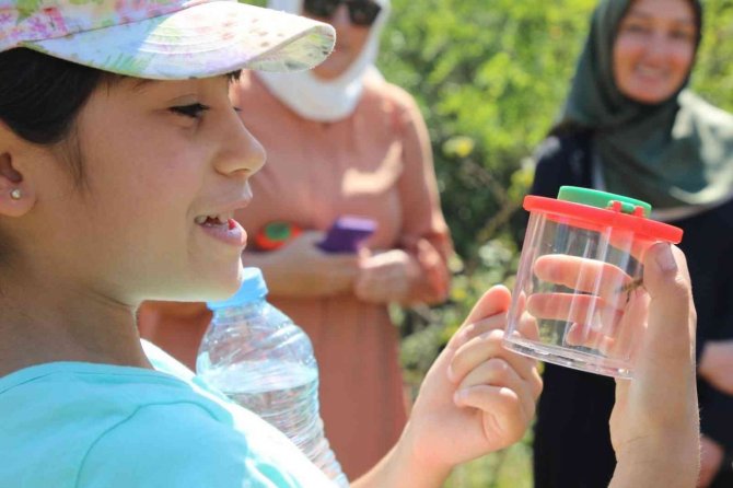 Ballıkayalar’da Biyoçeşitlilik Kayıt Altına Alındı