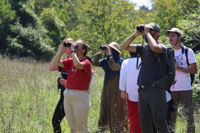 Ballıkayalar’da Biyoçeşitlilik Kayıt Altına Alındı