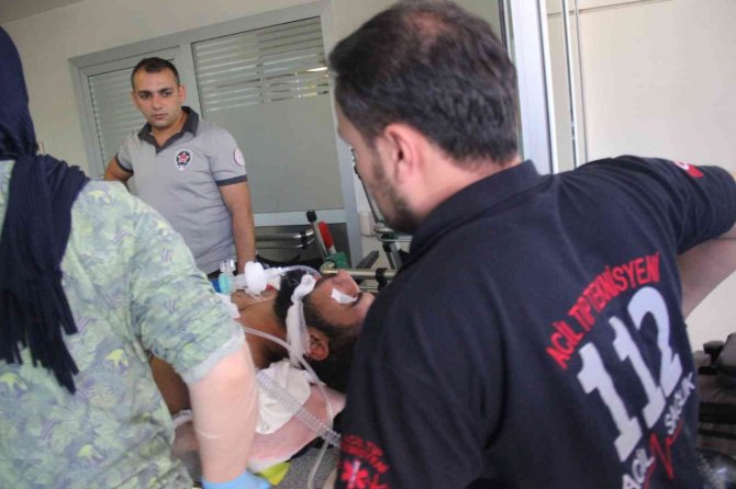 Ormanlık Alanda Duyduğu Sese Koşan Kardeşi Yıkan Manzara