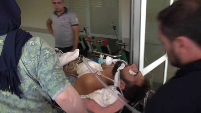 Ormanlık Alanda Duyduğu Sese Koşan Kardeşi Yıkan Manzara