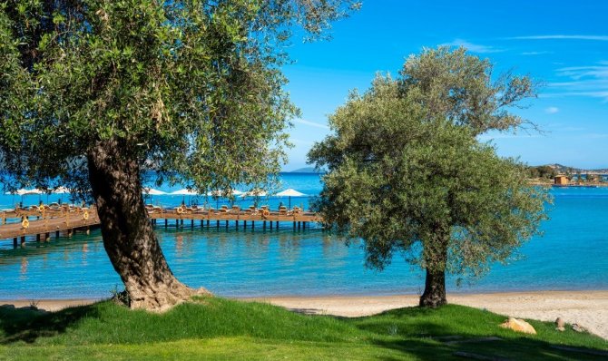 Rixos Olive Fest İçin Geri Sayım Başladı