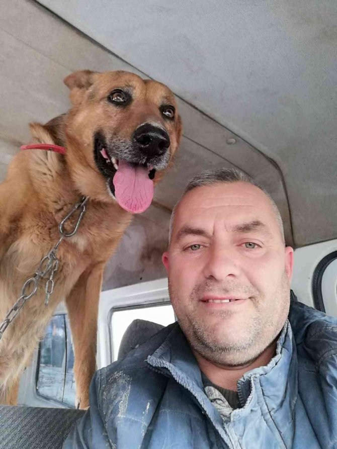 Tartıştığı Arkadaşına Sinirlenip Aynı İsmi Taşıyan Köpeğe Kurşun Yağdıran Adam Tutuklandı