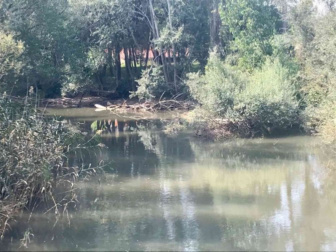 Şiddetli Rüzgarın Etkisiyle Ağaç Porsuk’a Devrildi