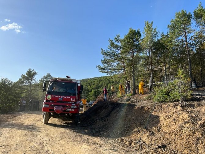 Tokat’ta 5 Hektar Ormanlık Alan Zara Gördü