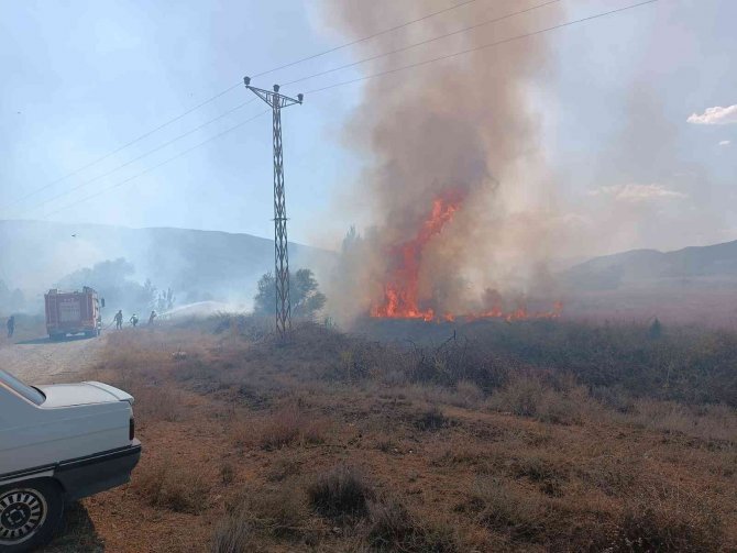 Tosya’da Anız Yangınında Çeltik Tarlaları Zarar Gördü