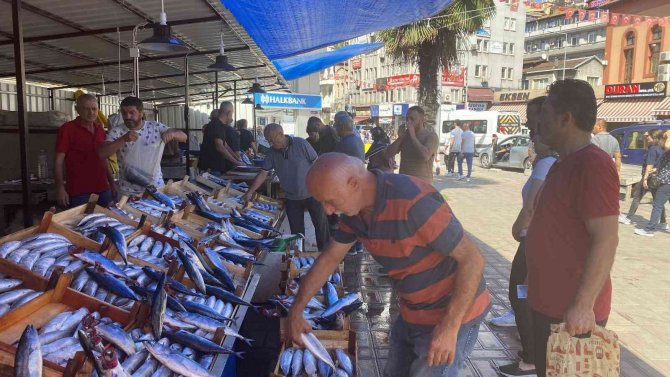 Büyük Kayıklar Zonguldak’a Akın Etti, Denizden Palamut Fışkırdı