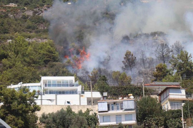 Alanya’da Orman Yangını