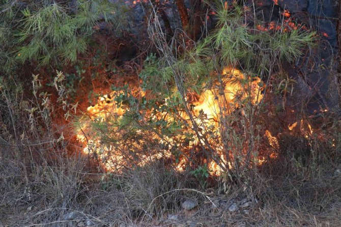 Alanya’da İkinci Orman Yangını Büyümeden Söndürüldü