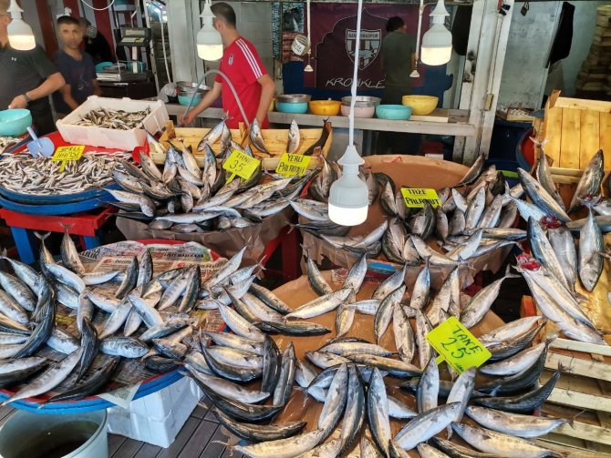 Bandırma’da Balık Tezgahlarında Yoğunluk