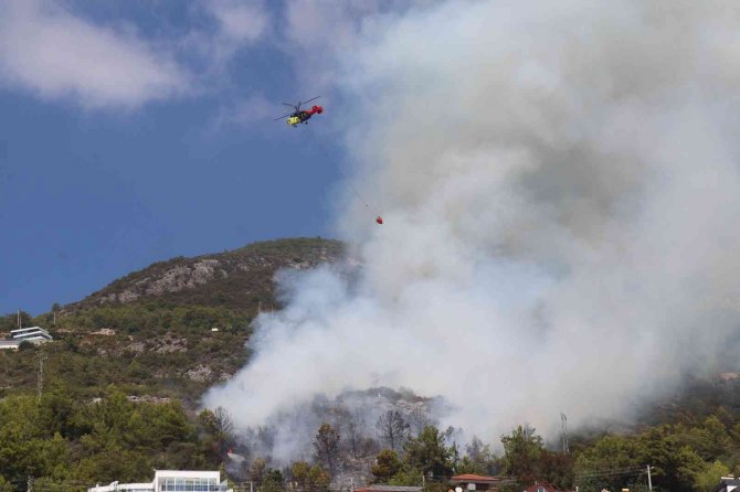 Alanya’da Yerleşim Yerine Yakın Alanda Çıkan Orman Yangını Kontrol Altına Alındı