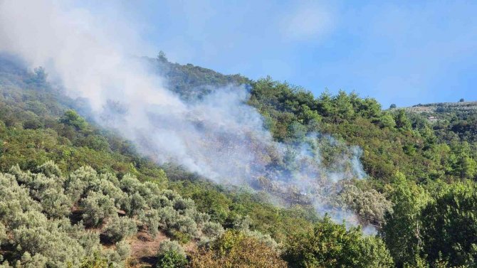 İ̇znik’te Orman Yangını...helikopter Defalarca Gölden Su Aldı
