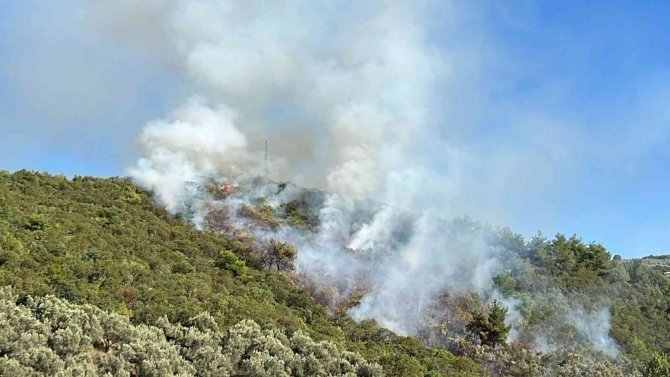 İ̇znik’te Orman Yangını...helikopter Defalarca Gölden Su Aldı