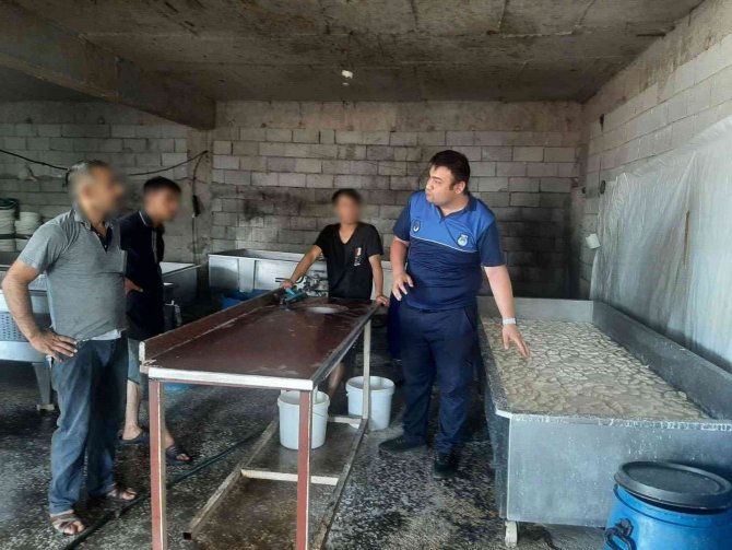 Diyarbakır’da Sağlıksız Peynir Üretimi Yapılan İmalathane Mühürlendi