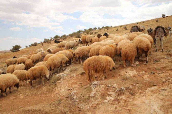 Tek Umutları Olan Köy Onları Yeniden Hayata Bağladı