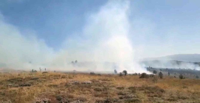 Giresun’da Örtü Yangını, Ormana Sıçramadan Kontrol Altına Alındı